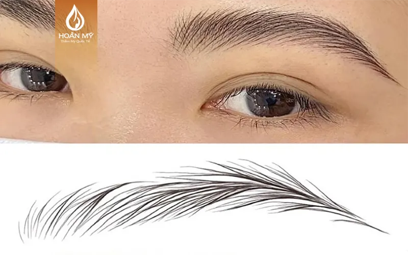 Mẹo hữu ích giúp người mới nhanh chóng thành thạo kỹ thuật dạy vẽ lông mày phun xăm