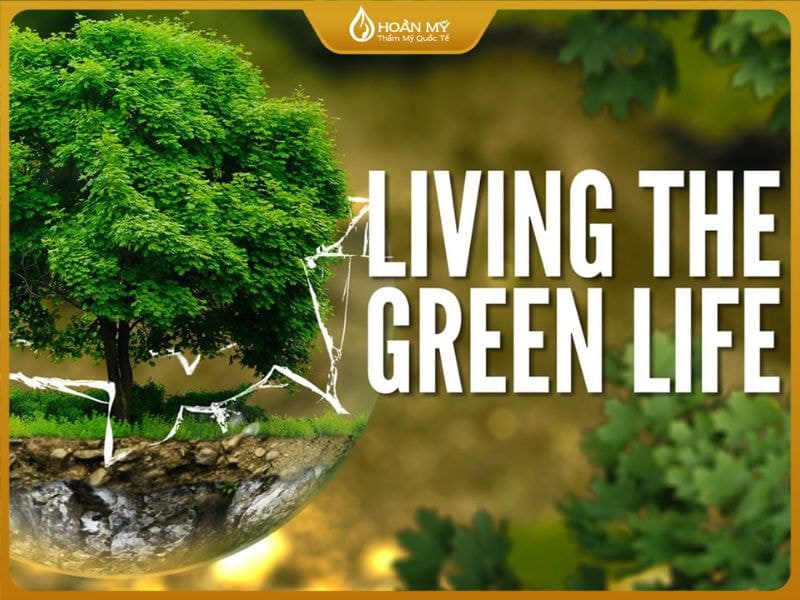 Xu hướng TikTok 2025 về sống xanh ngày càng được yêu thích